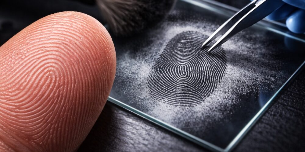 Wieso sind Fingerabdrücke einzigartig?